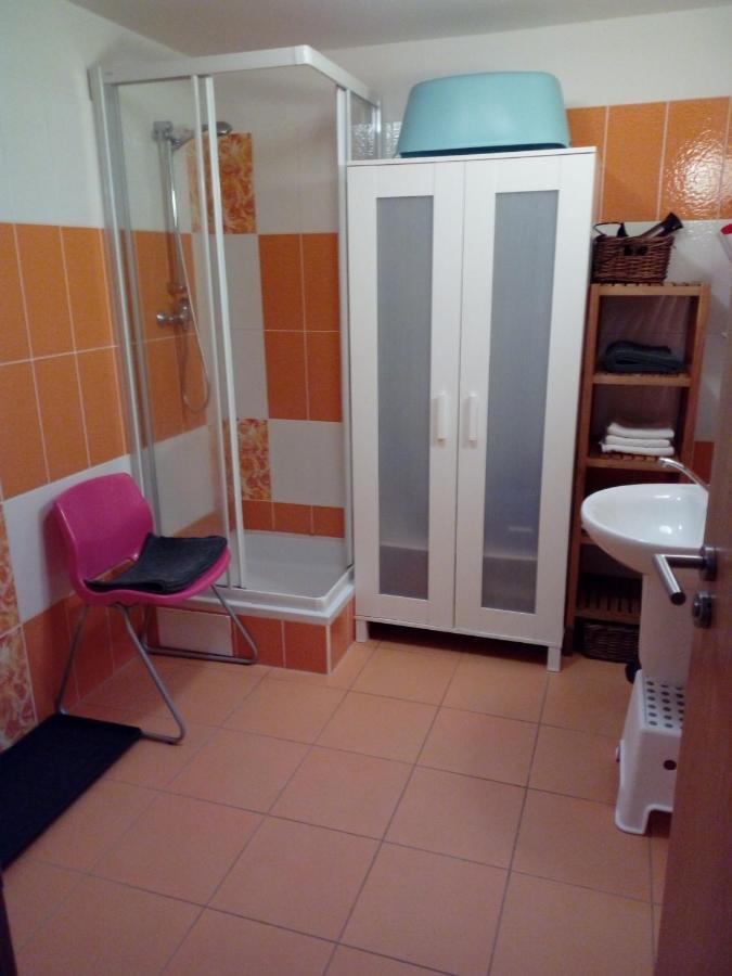 Apartman29 Ліпно-над-Влтавою Екстер'єр фото